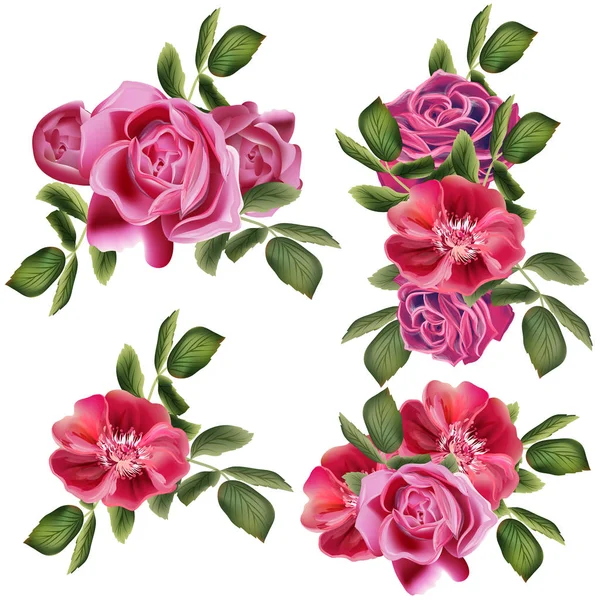 Collection Vector Roses Design — Stock Vector