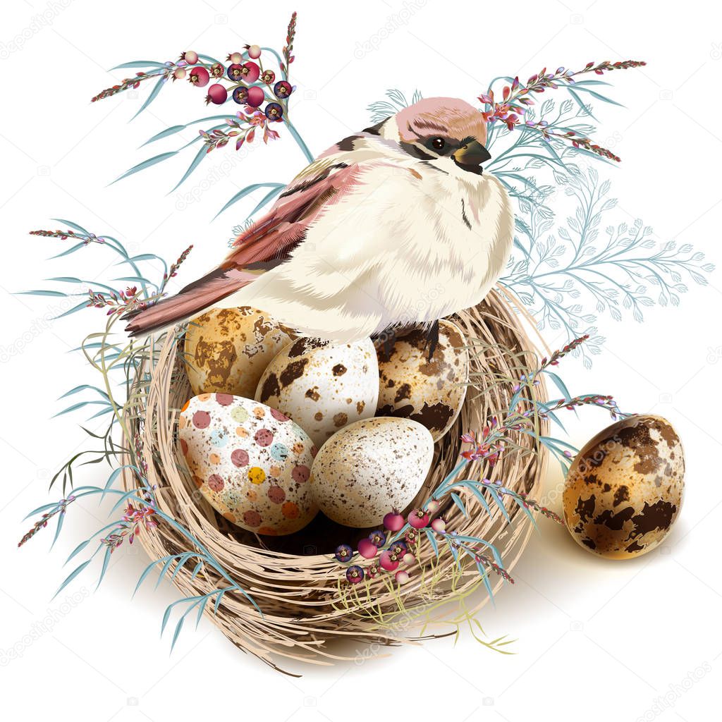 Easter vector background with realistic bird nest eggs and flora