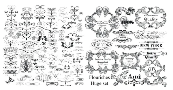 Gran colección de vectores florece y elementos caligráficos en — Vector de stock