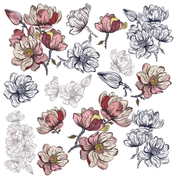 Gran colección de flores de vectores magnolia para el diseño — Vector de stock