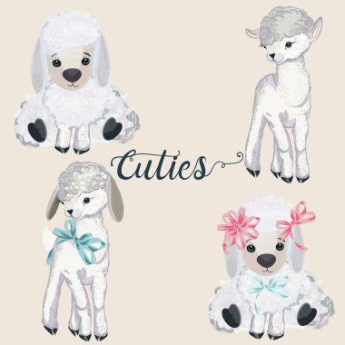 Suluboya tarzı tasarım için güzel vektör kuzu Koleksiyonu