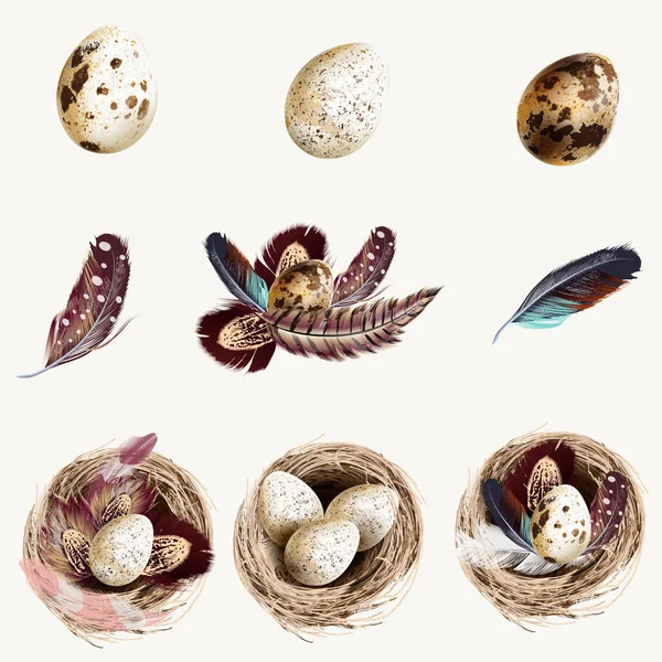 Kolekce Vektorových Velikonoční Vajíček Hnízd Peřím Pro Design — Stockový vektor