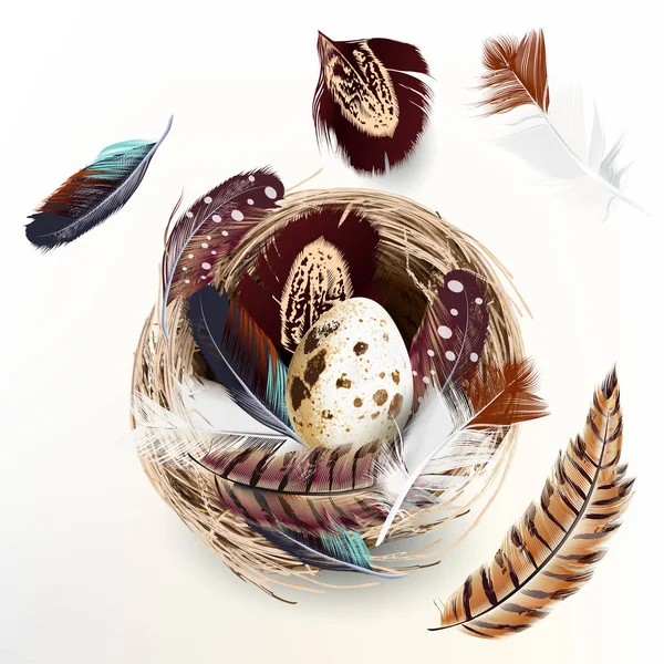 Easter Vector Realistic Nest Eggs Feathers Design Isolated White — Stock Vector