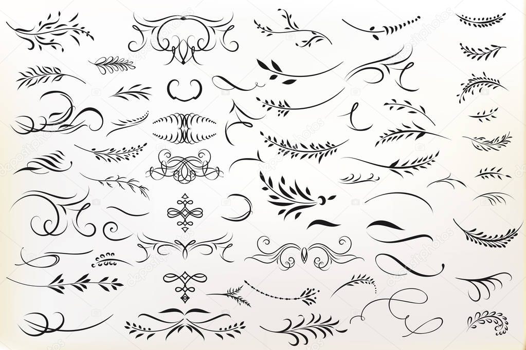 Big collection of vector calligraphic flourishes for design