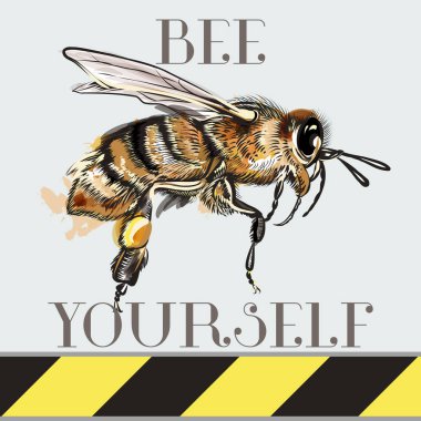 Kendiniz olun, T-sh için ideal arı ile moda vektör illüstrasyon