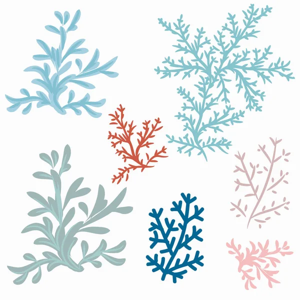 Збірка векторних коралів для проектування — стоковий вектор