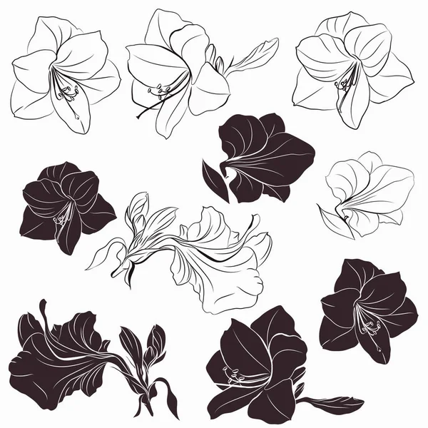 デジのためのラインのベクトルヒッペスラムの花の形のコレクション — ストックベクタ