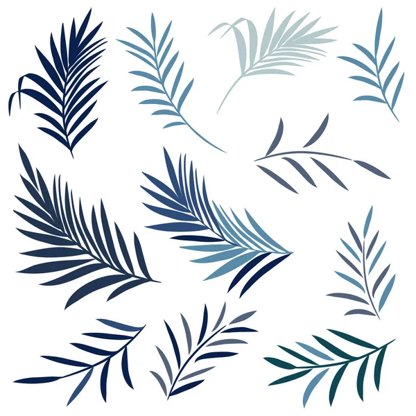 Vektor-Set elegante Palmblätter in blauer Farbe, Sommer tropisch — Stockvektor