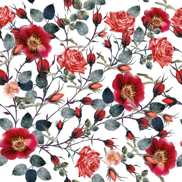 Gyönyörű vektor minta vörös rózsa virágok vintage vízc — Stock Vector