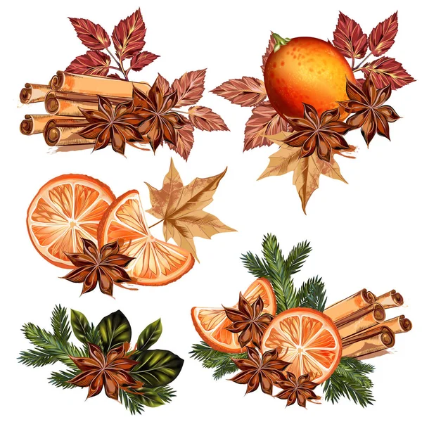Vánoční vektorová souprava s pomeranči, skořicí a kožešinovou větví — Stockový vektor