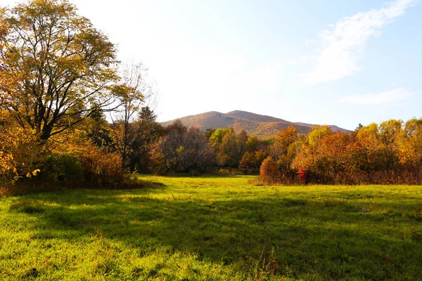 Herbstwald und Wiesennatur. lebendiger Morgen in farbenfrohem Vordergrund — Stockfoto