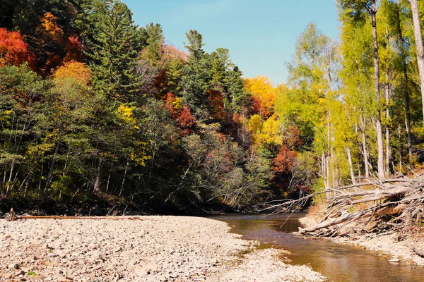 Herfst wild bos en rivier. Levendig landschap, kleurrijke houtsoort — Stockfoto