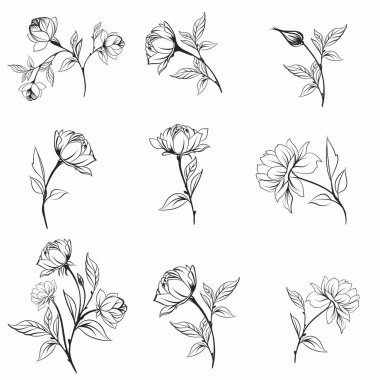 Logottip tasarımlar, düğünler, kartlar ve diğer şeyler için zarif vektör çizgileri.