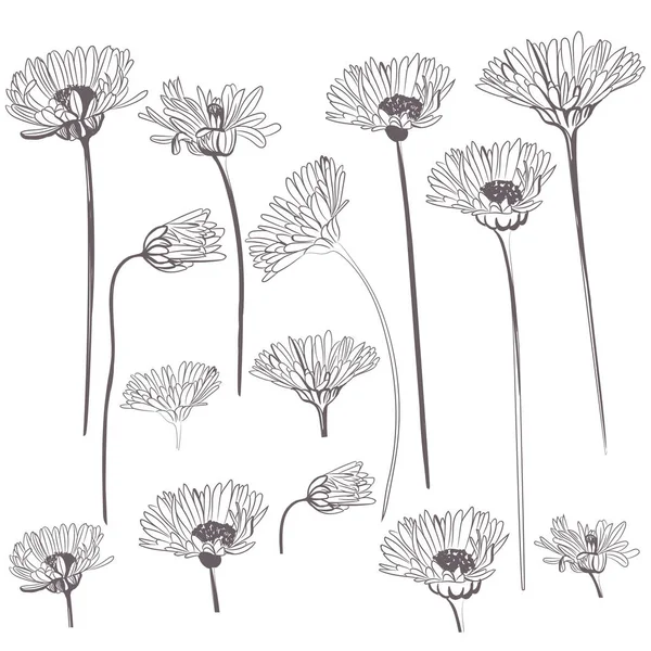 Colección Flores Vectores Rústicos Brotes Para Diseño — Vector de stock