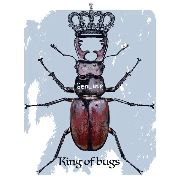Hermosa Ilustración Moda Con Escarabajo Ciervo Corona — Vector de stock