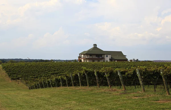 Raylen weinberge und weingut in mocksville north carolina lizenzfreie Stockfotos