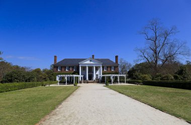 Boone Hall Plantation Mount Pleasant Güney Carolina