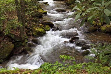 Akan su kayalar bir dağ dere üzerinde