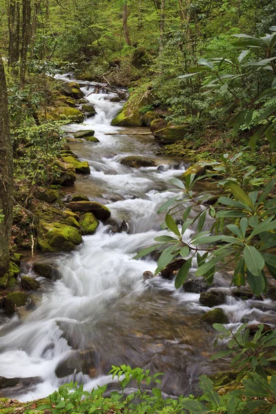 Pretty Mountain Creek i North Carolina i våren — Stockfoto