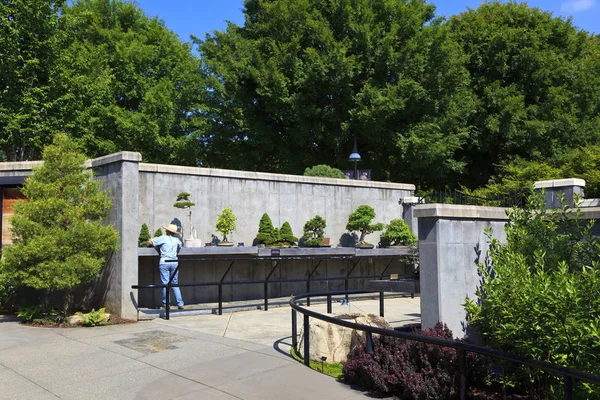 Bonsai Garden w Północnej Karolinie Arboretum Asheville — Zdjęcie stockowe