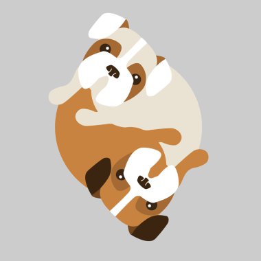 Köpek yavrusu boxer gogs bir daire, Yin yang