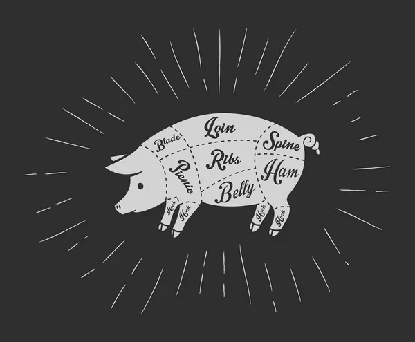 Carne de porco corta quadro negro — Vetor de Stock