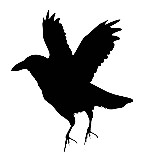 乌鸦的剪影 — 图库矢量图片