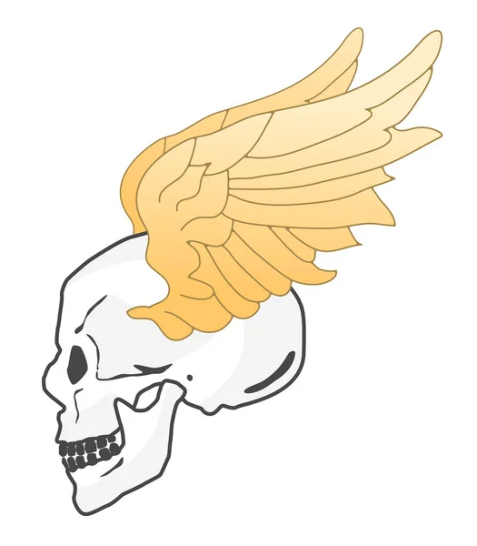 Skull and wings — Stock Vector