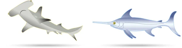 Épée poisson et requin marteau — Image vectorielle