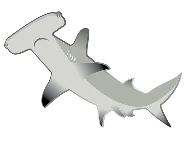 Marteau de requin — Image vectorielle