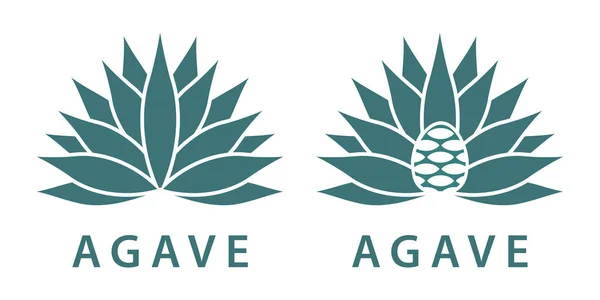 Agave — Vettoriale Stock