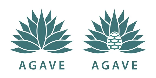 Agave — Stock vektor