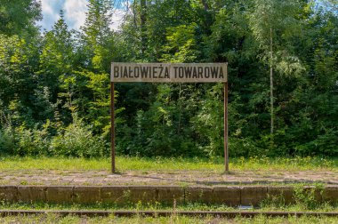 Railway station Bialowieza Towarowa. Former railroad station Bialowieza Towarowa in Bialowieza, large village in Podlasie region of Poland clipart
