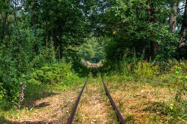 Velmi Staré Opuštěné Železniční Trať Lese Regionu Bělověžský Národní Park — Stock fotografie