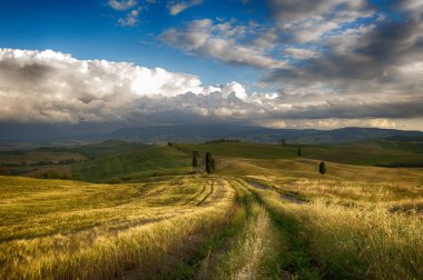 Gladyatör'ın yolu, film gladyatör bilinen yol. Böyle filmin ana karakteri film gladyatör eve döndü. Tuscany üzerinden en çok tanınan resimlerinden birini. Güzel bulutlu öğleden sonra gökyüzü