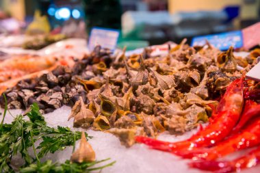 Taze midye balık pazarında Satılık hazır ve madde için kullanın. Pazar: Sevilla, Endülüs, İspanya