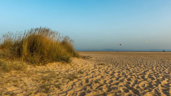 Мягкий Конец Дня Солнечный Свет Рисует Дюны Морской Овес Песчаном — стоковое фото