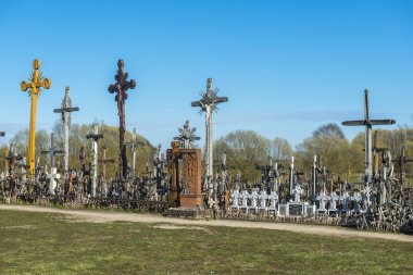 Tepe çarpılar Litvanya, Saulia