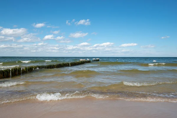Старые Деревянные Волнорезы Защищают Пляж Медзыздрое Волн Спокойное Балтийское Море — стоковое фото