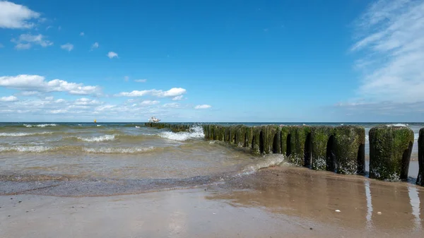 Чайки Сидят Старых Деревянных Столбах Защищая Пляж Волн Спокойное Балтийское — стоковое фото