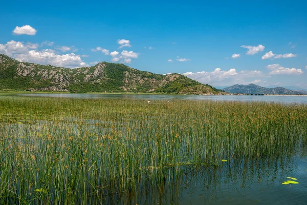 Uma Bela Paisagem Lago Tranquilo Cercado Por Montanhas Coberto Com — Fotografia de Stock