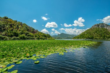 Peyzaj Park, Karadağ. Dağlarla çevrili ve su bitki örtüsü ile büyümüş huzurlu gölün güzel bir manzara.