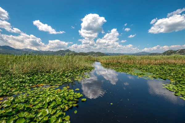 Landscape Park Montenegro Uma Bela Paisagem Lago Tranquilo Cercado Por — Fotografia de Stock