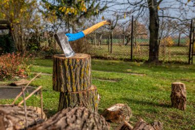 Soğuk kış günlerinde yakıt için şömine için odun keserken. Eski güçlü balta ahşap en zor parçalarını işleyebilir. Arka planda kıyılmış mayo görebilirsiniz