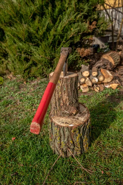 Chopping wood to the fireplace for fuel on cold winter days. An old strong ax can handle the hardest pieces of wood. In the background you can see chopped trunks