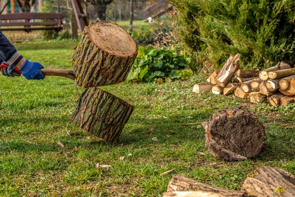 Cortando Leña Chimenea Para Combustible Los Fríos Días Invierno Viejo — Foto de Stock