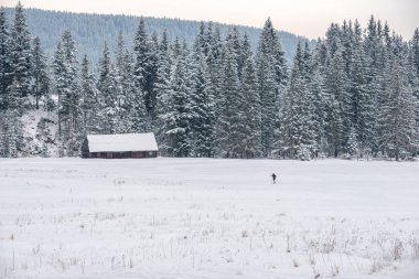 Yalnız koşucu karlı manzarada kayak yapıyor.