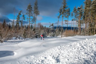 Karlı bir ormanda koşan bir yarışın güzergahında kayak koşucusu