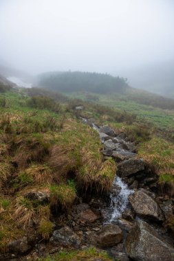 Polonya 'nın Tatra Dağları' ndaki patika boyunca kristal berrak bir su akıntısı.
