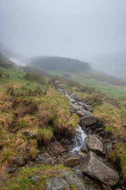 Polonya 'nın Tatra Dağları' ndaki patika boyunca kristal berrak bir su akıntısı.
